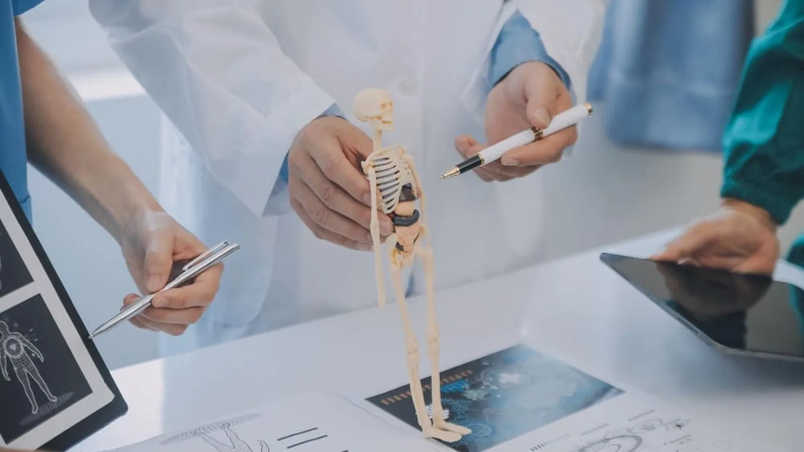 Traumatólogo y ortopedista vs fisioterapeuta en Mexicali, Baja California: Diferencias y enfoque clínico